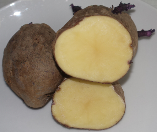 Kartoffelsorte Royal d'Andes
