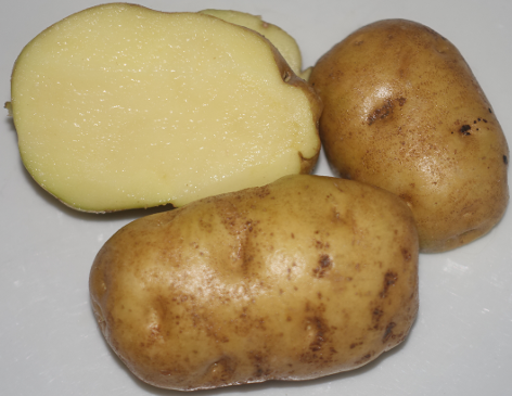 Kartoffelsorte Aggebloom