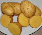 Kartoffelsorte Aztec Gold