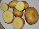 Kartoffelsorte Afra
