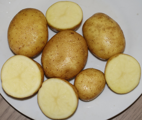 Kartoffelsorte Rumba