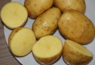 Kartoffelsorte Herbstgold