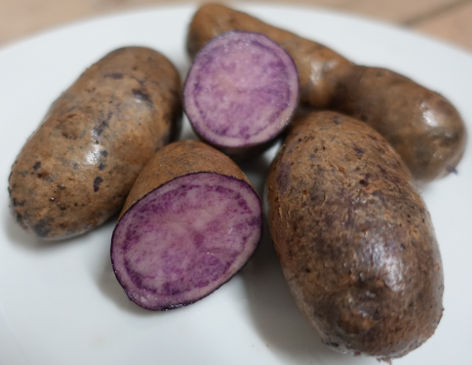 Kartoffelsorte F�rberkartoffel