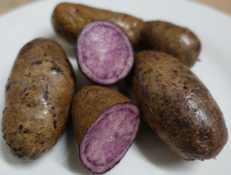 Kartoffelsorte F�rberkartoffel