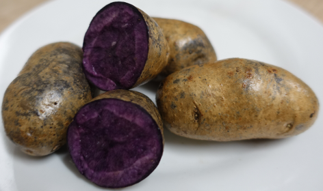 Kartoffelsorte BMI