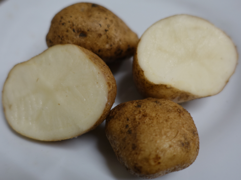 Kartoffelsorte Alaska Frostless