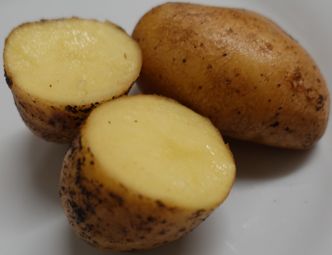 H�rner Kamtschatka