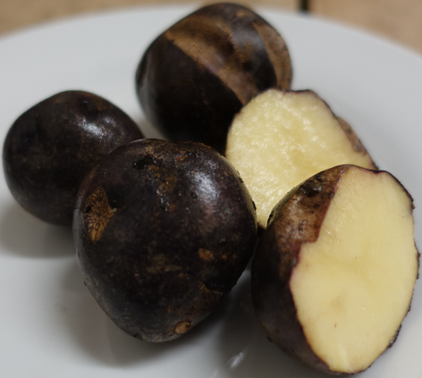 Mariba Negra