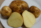  Kartoffelsorte Toronta Bay