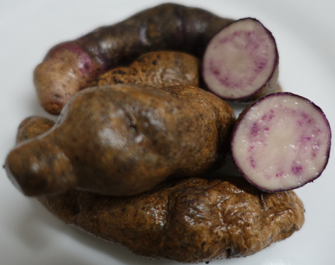 Kartoffelsorte Ajanhuiri Blaue
