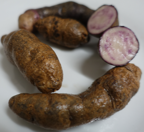 Kartoffelsorte Ajanhuiri Blaue